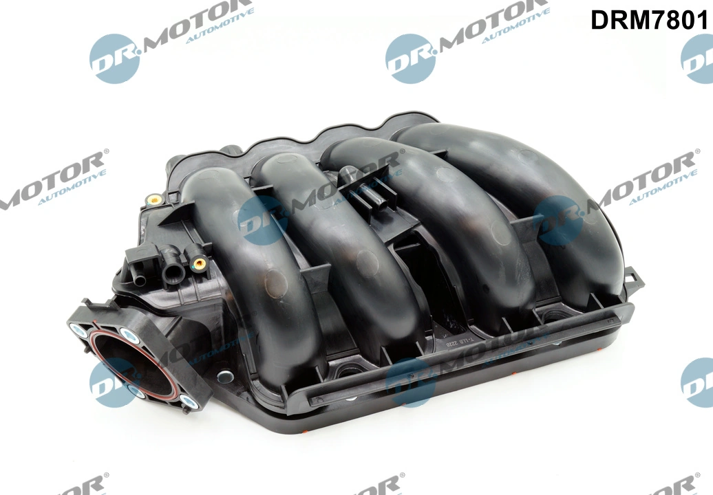 Intake Manifold Module